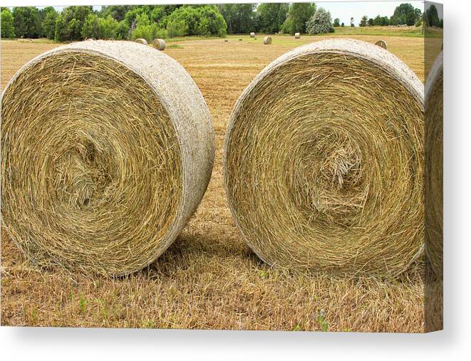 2 Freshly Baled Round Hay Bales Canvas Print / Canvas Art by James BO  Insogna - Pixels