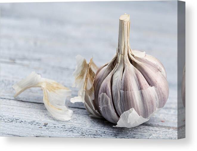 Garlic Canvas Print featuring the photograph Garlic #2 by Nailia Schwarz