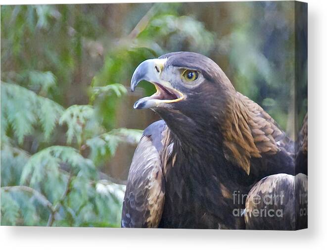 Photography Canvas Print featuring the photograph Golden Eagle #2 by Sean Griffin