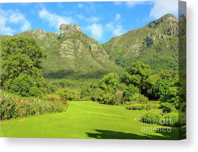 Cape Town Canvas Print featuring the photograph Kirstenbosch Botanical Garden #2 by Benny Marty