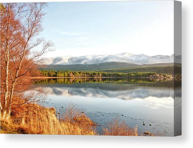 Lake Canvas Print featuring the photograph Aviemore by Gouzel -