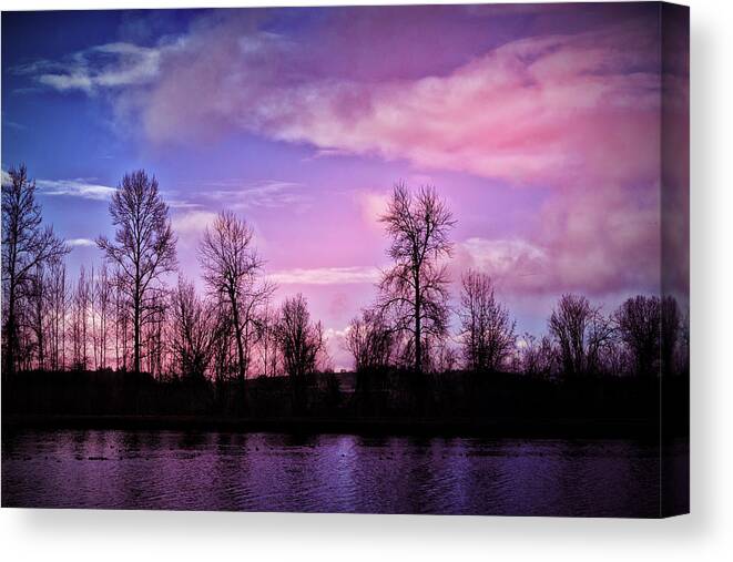 Pink Canvas Print featuring the photograph Pink Dawn by Bonnie Bruno
