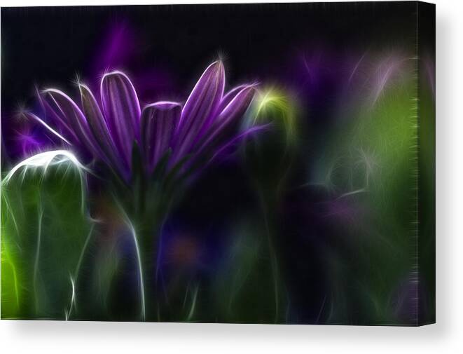 Abstract Canvas Print featuring the photograph Purple Daisy by Stelios Kleanthous