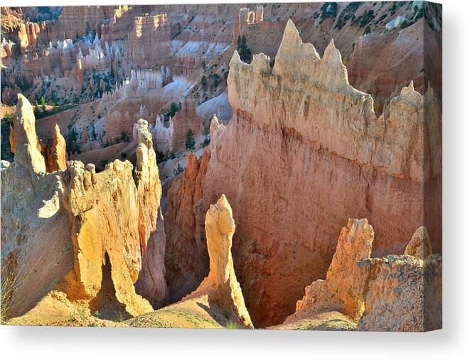 Bryce Canyon National Park Canvas Print featuring the photograph Sunrise Point #1 by Ray Mathis