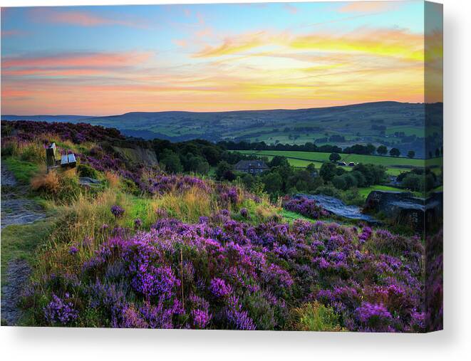 Flora Canvas Print featuring the photograph Norland Moor Sunset #7 by Chris Smith