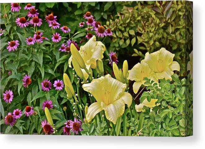 Daylilies Canvas Print featuring the photograph 2016 August in the Garden Lilies and Coneflowers 1 by Janis Senungetuk