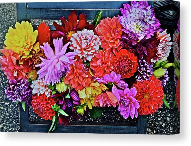 Dahlias Canvas Print featuring the photograph 2016 Monona Farmer's Market Dahlias Display by Janis Senungetuk