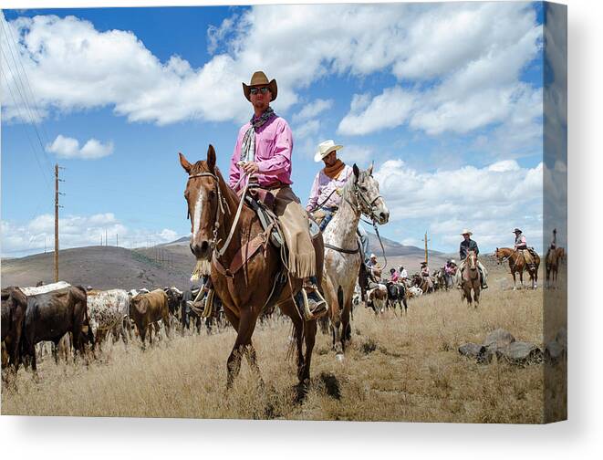 Reno Canvas Print featuring the photograph 2016 Reno Cattle Drive 7 by Rick Mosher