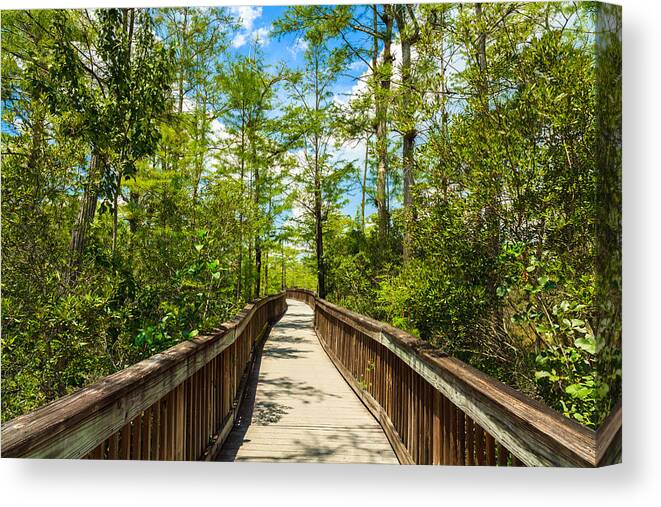 Everglades Canvas Print featuring the photograph Florida Everglades #24 by Raul Rodriguez