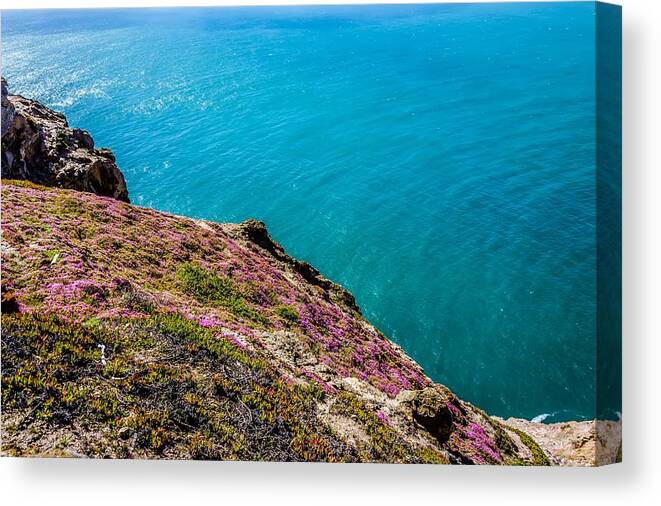 Landscape Canvas Print featuring the photograph Point reyes national seashore landscapes in california #24 by Alex Grichenko