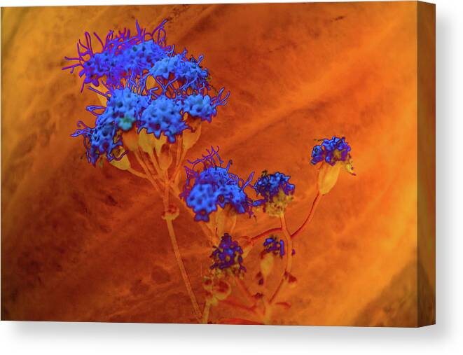 Texture Canvas Print featuring the photograph Texture Flowers #25 by Prince Andre Faubert