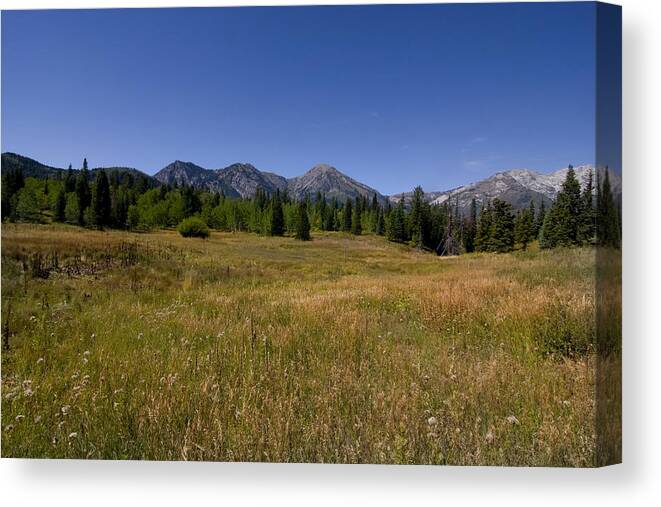 Panoramic Canvas Print featuring the photograph Mountain Meadow #26 by Mark Smith