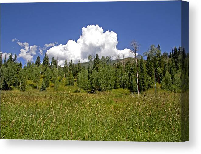Colors Canvas Print featuring the photograph Mountain Meadow by Mark Smith