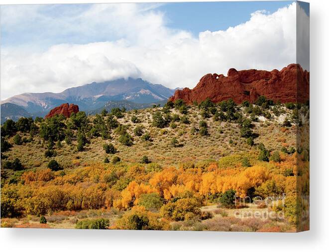 Aspen Canvas Print featuring the photograph Autumn in Garden of the Gods #3 by Steven Krull