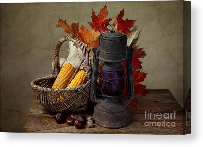 Still Canvas Print featuring the photograph Autumn #3 by Nailia Schwarz