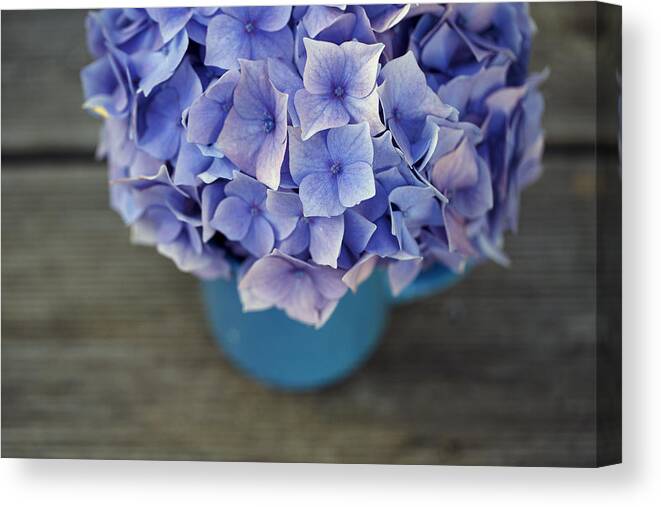 Hortensia Canvas Print featuring the photograph Hortensia Flowers #3 by Nailia Schwarz