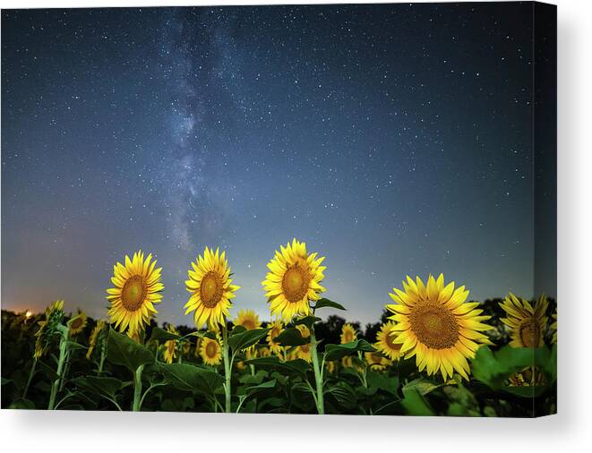 Ryan Heffron Canvas Print featuring the photograph Sunflower Galaxy iv by Ryan Heffron