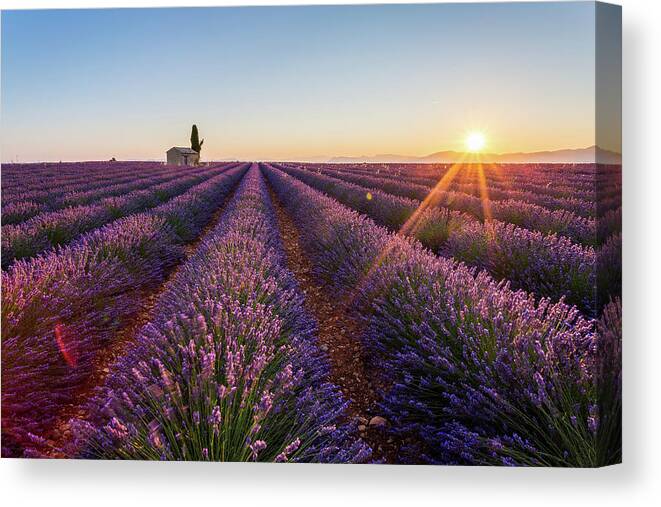 Blue Canvas Print featuring the photograph Sunrise in Valensole #3 by Francesco Riccardo Iacomino