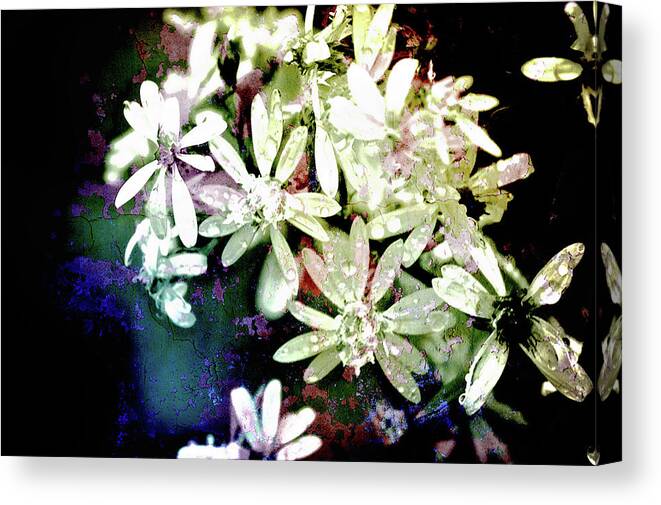 Texture Canvas Print featuring the photograph Texture Flowers #3 by Prince Andre Faubert