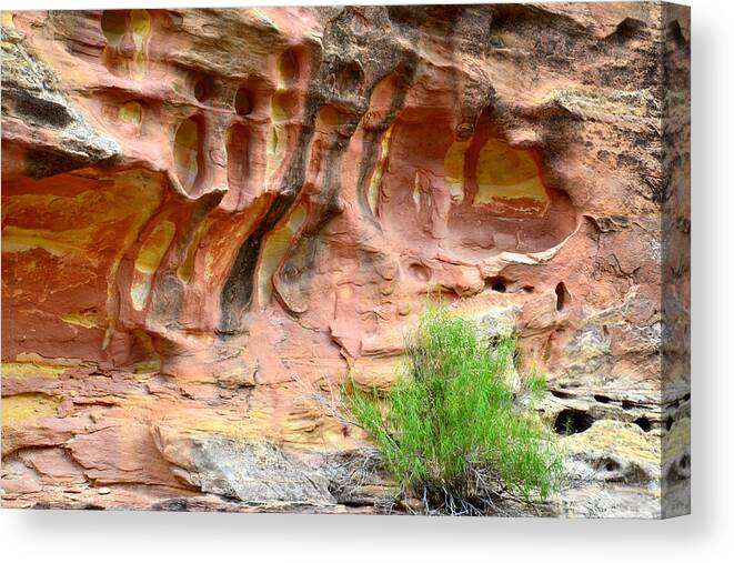 Sandstone Canvas Print featuring the photograph Capitol Reef Wall Art #4 by Ray Mathis