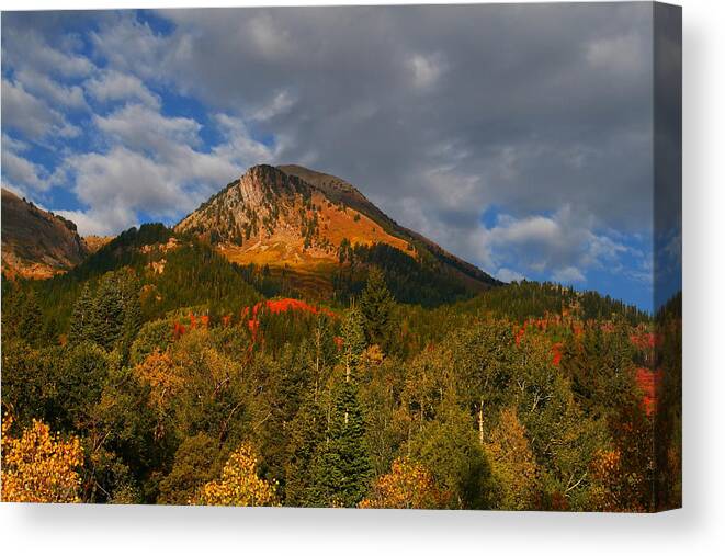 Autumn Canvas Print featuring the photograph Autumn Splender #4 by Mark Smith