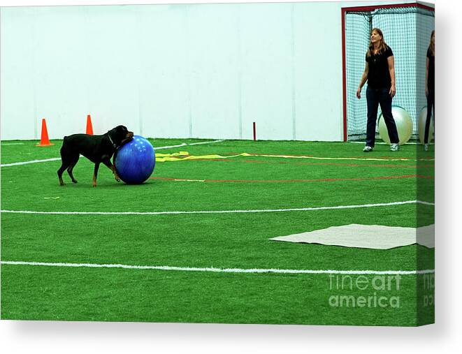  Canvas Print featuring the photograph Donna and Sinjin #4 by Fred Stearns