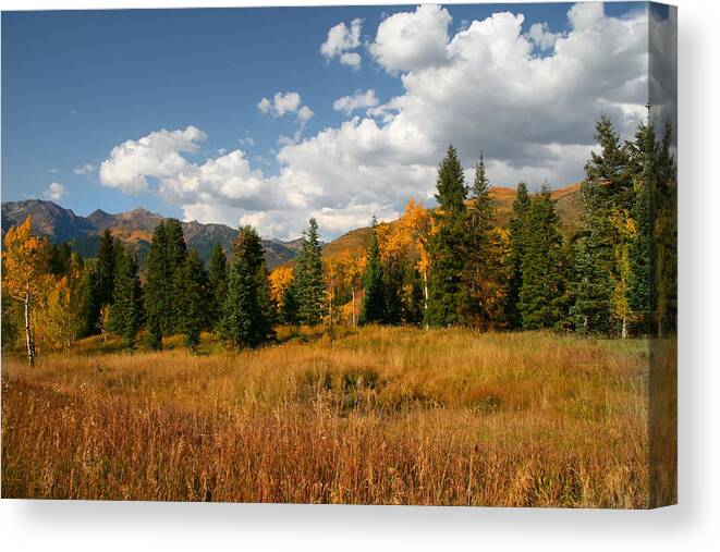 Autumn Canvas Print featuring the photograph Fall Colors by Mark Smith
