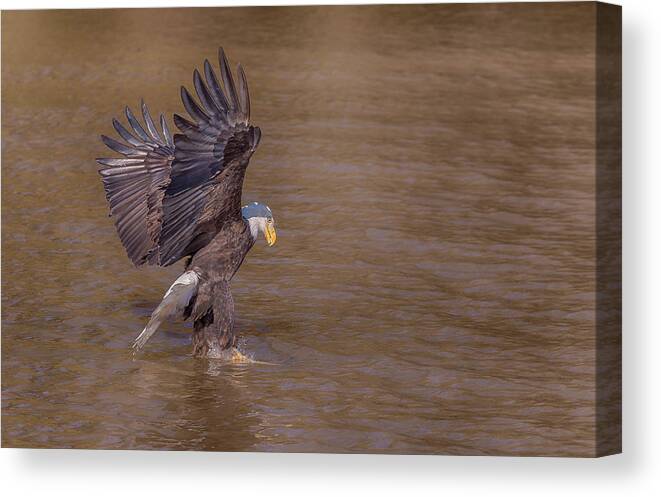 Nature Canvas Print featuring the photograph Feet Wet #4 by Mike Yeatts