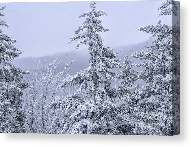 Rhime Ice Canvas Print featuring the photograph Rhime Ice Highland Scenic Highway #4 by Thomas R Fletcher