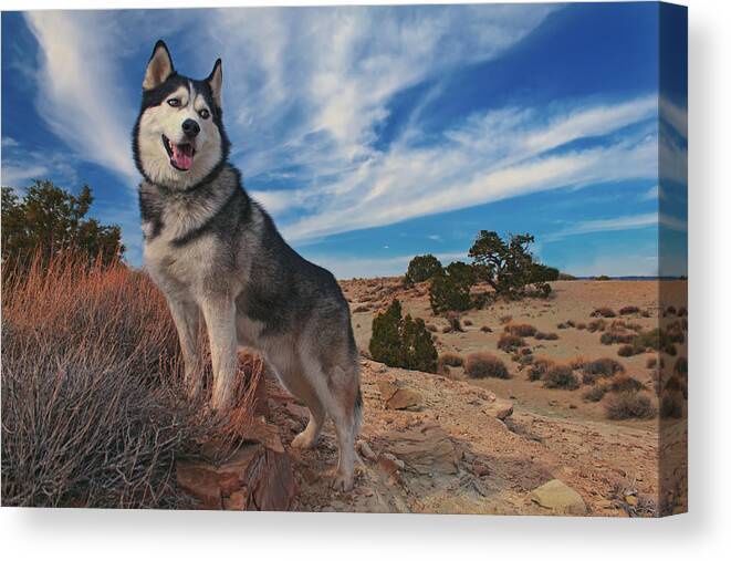 Animal Canvas Print featuring the photograph Timber #4 by Brian Cross