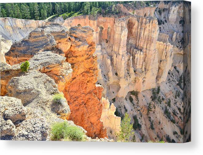 Bryce Canyon National Park Canvas Print featuring the photograph Windows of Bryce Point #5 by Ray Mathis