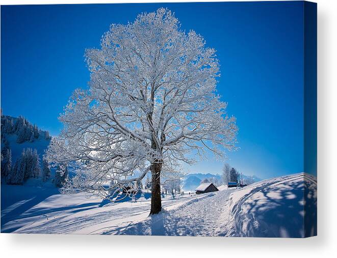 Winter Canvas Print featuring the digital art Winter #4 by Maye Loeser