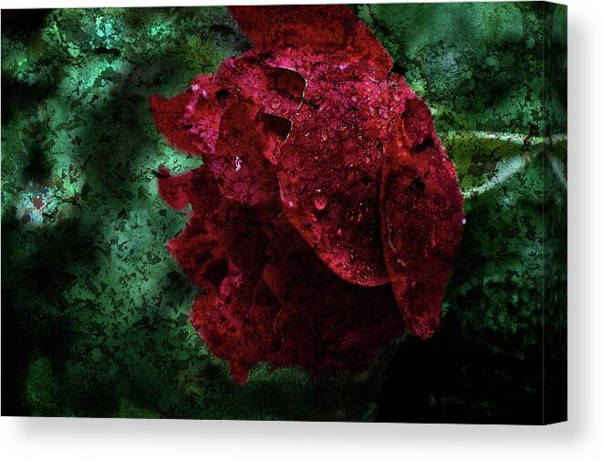 Texture Canvas Print featuring the photograph Texture Flowers #41 by Prince Andre Faubert