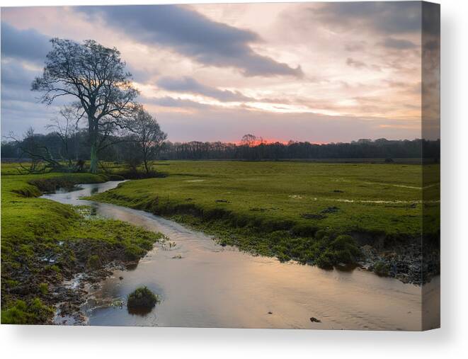 Longwater Lawn Canvas Print featuring the photograph New Forest - England #49 by Joana Kruse
