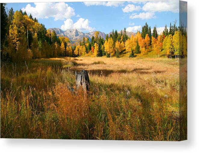 Autumn Canvas Print featuring the photograph Autumn Splender #5 by Mark Smith