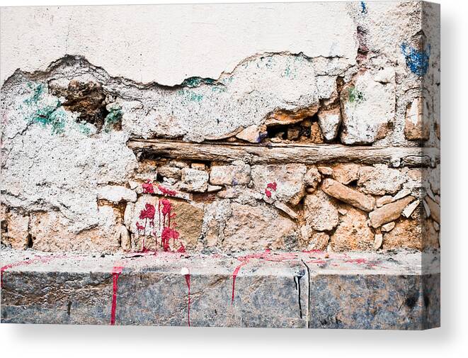 Abstract Canvas Print featuring the photograph Damaged wall #5 by Tom Gowanlock