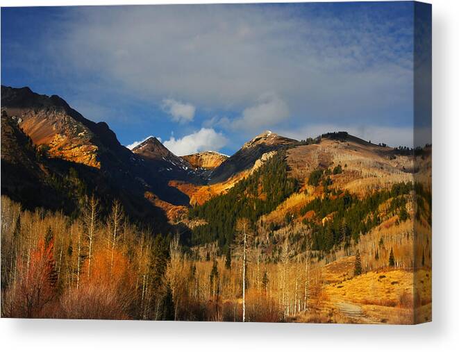 Wyoming Canvas Print featuring the photograph Fall #5 by Mark Smith