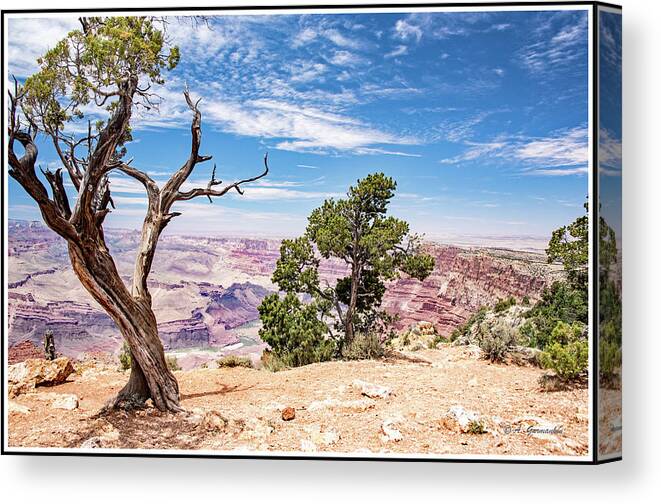 Grand Canyon Canvas Print featuring the photograph Grand Canyon, Arizona #5 by A Macarthur Gurmankin