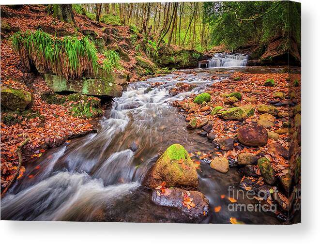 Waterfall Canvas Print featuring the photograph Harden Beck #5 by Mariusz Talarek