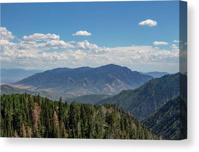 Sky Canvas Print featuring the photograph Nebo Loop in July #7 by K Bradley Washburn