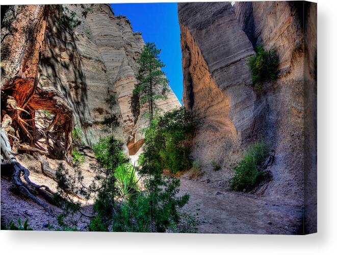 New Mexico Canvas Print featuring the photograph New Mexico 15 #1 by David Henningsen