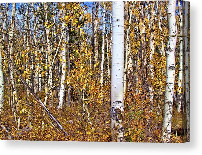 Autumn Canvas Print featuring the photograph Rocky Mountain Fall #5 by Mark Smith