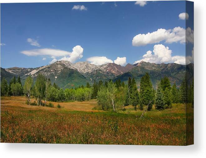 Colors Canvas Print featuring the photograph Rocky Mountains by Mark Smith