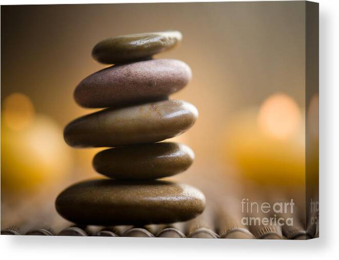 Alternative Canvas Print featuring the photograph Wellness #5 by Kati Finell