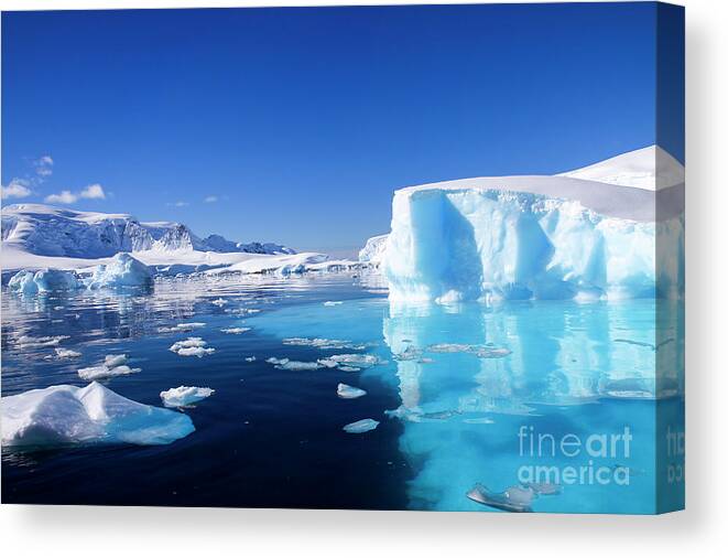Landscapes Canvas Print featuring the photograph Wilhelmina Bay Antarctica #5 by Lilach Weiss