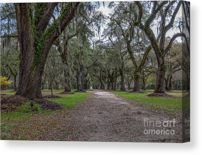 Fenwick Hall Canvas Print featuring the photograph Walk the Path by Dale Powell