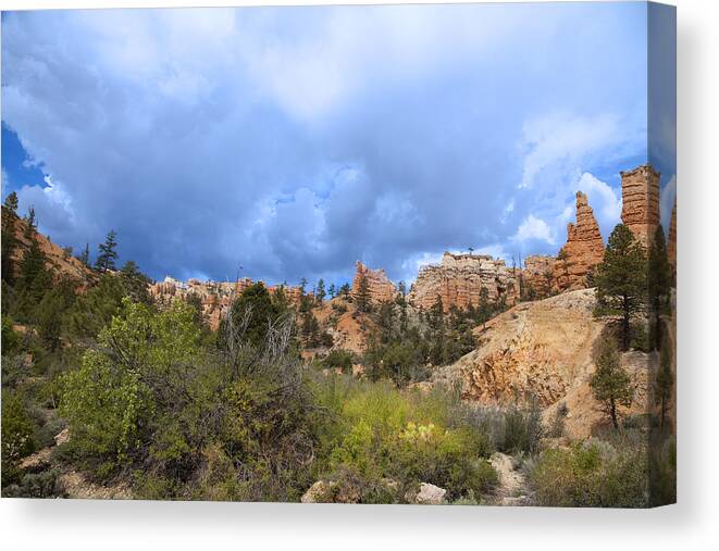 Red Rock Canvas Print featuring the photograph Bryce Canyon National Park #56 by Mark Smith