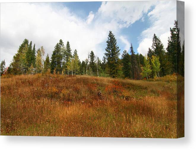 Autumn Canvas Print featuring the photograph Fall #6 by Mark Smith
