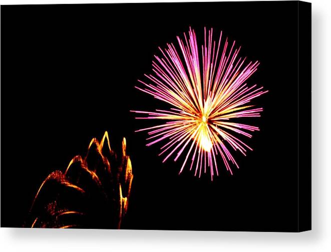 Firework Canvas Print featuring the photograph Fireworks #6 by Donn Ingemie