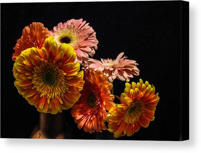 Sunflowers Canvas Print featuring the photograph 6 Sunflowers by Gerald Kloss